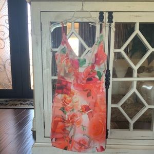 Black Halo Mini Dress